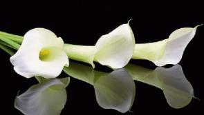 Deaths in Kildare - June 14, 2017
