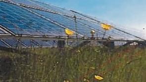 Another solar farm application lodged for Kildare 