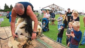 Father's Day sorted: Kildare County Show is the place to be
