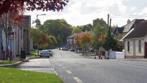 Councillors call on urgent plans for Athgarvan area works