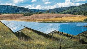 18,000 solar panel farm plan lodged for Pollardstown, the Curragh 