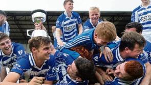 Gavigan strikes late to give Naas SHL Div. 2 title