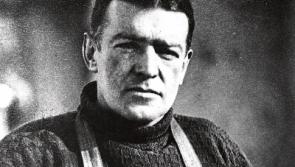 Athy museum gets significant grant towards explorer exhibition