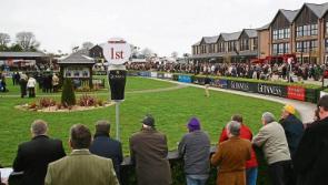 Punchestown Festival in Naas threatened by law change