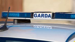 Gardaí in Kildare appealing to people to report stolen registration plates