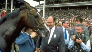 Down Irish Derby memory lane with Naas man Damien McElroy