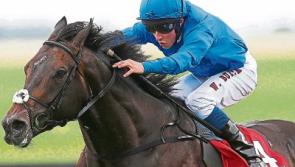 Viewers could have made a fortune with my CNN Derby predictions