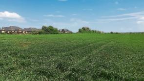 Auction result: 40 Kilmeade acres sold