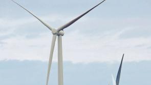 High Court decision on Maighne due by July 27