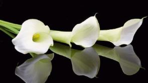Deaths in Kildare - July 3, 2017