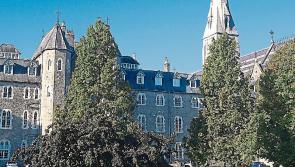 National Spring Clean took place on campus of well-known Kildare university
