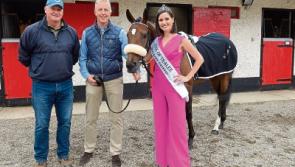 Roses set to bloom at the Curragh Racecourse for Tipperary Crystal Rose Race Day    