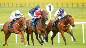 Fun for all the family at today's race day at Naas Racecourse