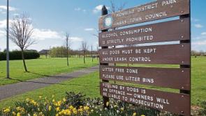 Bark off! New Naas dog park to be relocated after resident complaints