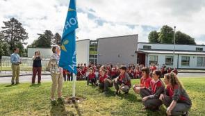 Active flag for Naas school