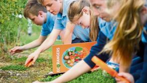 Bord na Móna's Eco Rangers Schools Programme big hit in Kildare
