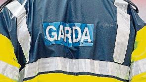 Gardaí in Kildare seeking information on theft from school building site