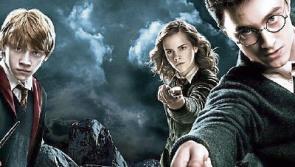 Are you a Harry Potter whizzkid? This tournament in Wicklow could be for you