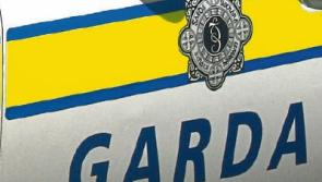 Information sought on man who held hammer to staff in Celbridge supermarket