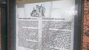 Ancient Naas castle is "falling down"