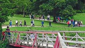 Plenty planned for Kildare Walking Festival