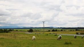 Cycle lane for Curragh not realistic says one Kildare councillor
