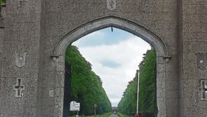 Kildare's Clongowes Wood features in new work of fiction about Hitler's ghost