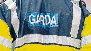 Cash and jewellery taken from house in Naas