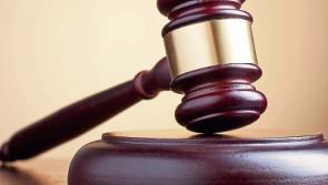 Armed gardai had to taser Bull Staffordshire, Naas Court hears