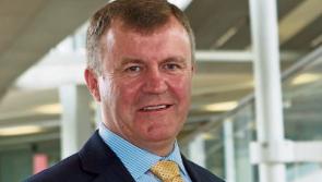 Woman provided sexual services to avoid homelessness, Kildare County Councillor tells meeting