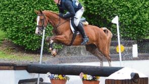 Kildare's Carton horses at RDS show