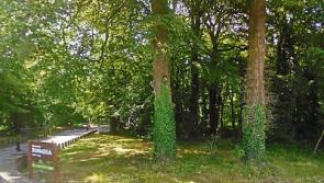 Donadea Forest Park outing