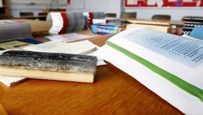 Kildare representatives welcome reinstatement of 'vital' therapists in schools from September