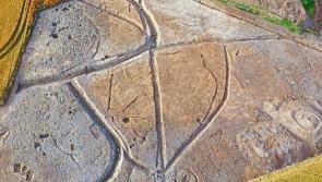 Archaeologists discover 8th century settlement near Sallins