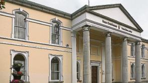 Kildare vet guilty of animal remedy charges