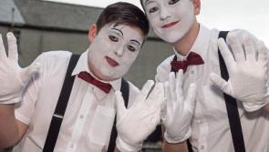 WATCH: Kildare Town LARK's video audition call for Into the Woods