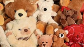 I've no idea what Teddybears get up to at night, admits Kildare artist