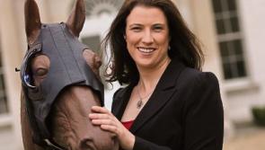 Kildare company's bovine light mask sees 9% yield increase