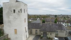 Kildare's historic gate lodge will stand proud once again
