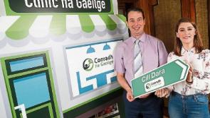 The percentage of Kildare people who can speak Irish may surprise you
