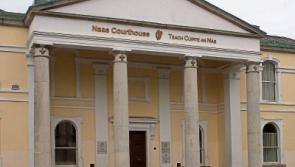Judge orders Clane huskies be destroyed after latest attack on neighbouring dog