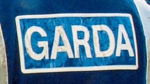 Two new gardai to patrol Naas' Monread area