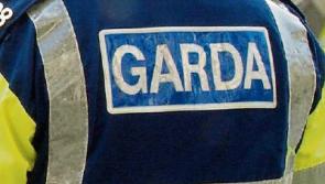 Tallaght gunman: Garda appeal for public help in tracing armed man on the loose