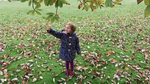 Forget Christmas, autumn's the most wonderful time of the year in Kildare