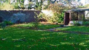 Community spirit to drive Kildare town's Eve Sensory Garden project