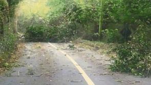 How a good loss assessor can increase your Hurricane Ophelia storm damage claim