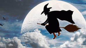 Naas secondary school pupils are going batty for Hallowe'en