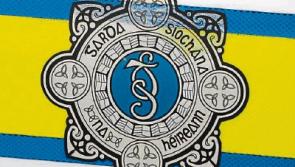 Monasterevin arrest pair to appear in court