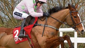 Cheltenham Festival Tips: Thursday's top picks