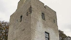 Original 14 stone sash windows installed in Kildare castle